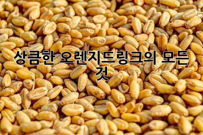 상큼한 오렌지드링크의 모든 것 🍊