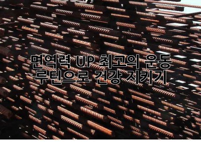 면역력 UP! 최고의 운동 루틴으로 건강 지키기