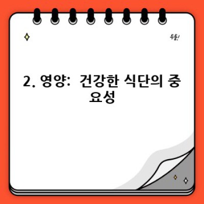 골든리트리버 수명: 건강하게 오래 함께하기 위한 완벽 가이드