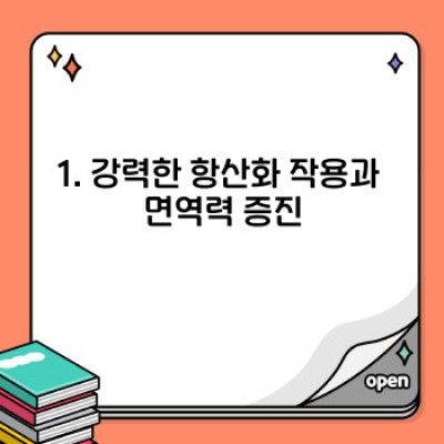 브라질너트 효능 총정리: 건강한 삶을 위한 슈퍼푸드 가이드