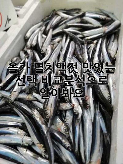 올가 멸치액젓: 맛있는 선택? 비교분석으로 알아봐요!