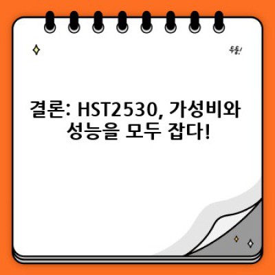 HST2530: 가성비 끝판왕! 당신의 현명한 선택이 될 스마트 기기