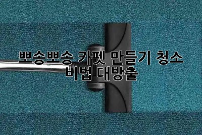 ✨뽀송뽀송 카펫 만들기✨ 청소 비법 대방출!