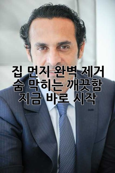 🏠✨ 집 먼지 완벽 제거: 숨 막히는 깨끗함, 지금 바로 시작!