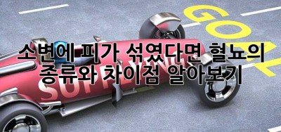 소변에 피가 섞였다면? 혈뇨의 종류와 차이점 알아보기!