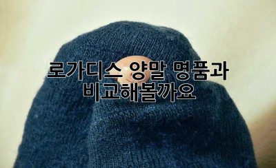 로가디스 양말, 명품과 비교해볼까요?