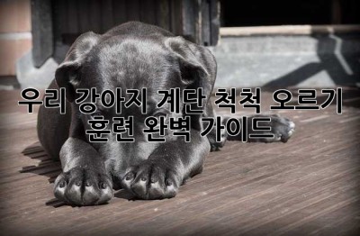 우리 강아지, 계단 척척 오르기! 훈련 완벽 가이드🐶