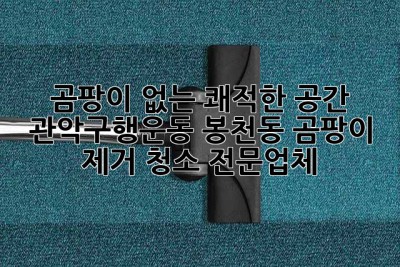 곰팡이 없는 쾌적한 공간! 관악구(행운동, 봉천동) 곰팡이 제거 청소 전문업체 ✨