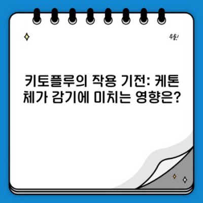 키토플루 완벽 가이드: 효과, 부작용, 주의사항까지 속속들이 파헤쳐보자!