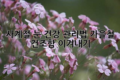 사계절 눈 건강 관리법: 가을철 건조함 이겨내기