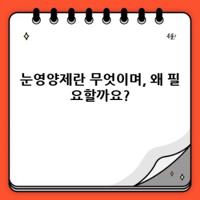 눈영양제 완벽 가이드: 종류, 효과, 부작용, 그리고 선택 방법까지!