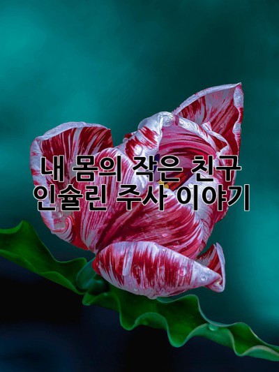 내 몸의 작은 친구, 인슐린 주사 이야기