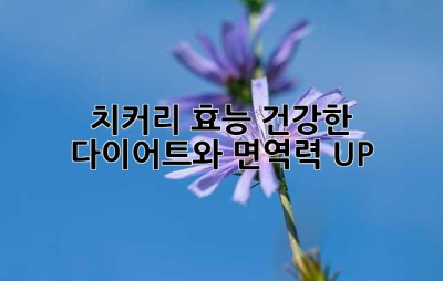 치커리 효능: 건강한 다이어트와 면역력 UP!