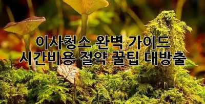 이사청소 완벽 가이드 🍯 시간&비용 절약 꿀팁 대방출!