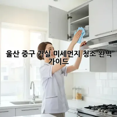 울산 중구 거실 미세먼지 청소 완벽 가이드
