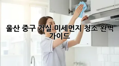 울산 중구 거실 미세먼지 청소 완벽 가이드