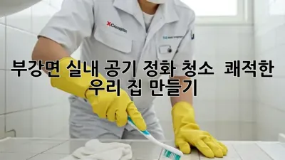 부강면 실내 공기 정화 청소 ✨ 쾌적한 우리 집 만들기!