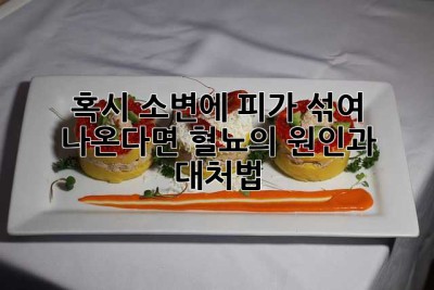 혹시 소변에 피가 섞여 나온다면? 혈뇨의 원인과 대처법