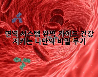 면역 시스템 완벽 가이드: 건강 지키는 나만의 비밀 무기