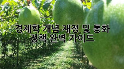 경제학 개념: 재정 및 통화 정책 완벽 가이드