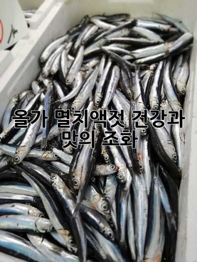 올가 멸치액젓: 건강과 맛의 조화