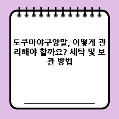 도쿠마야구양말 완벽 가이드: 숨겨진 기능과 선택 팁, 논란 해소까지!