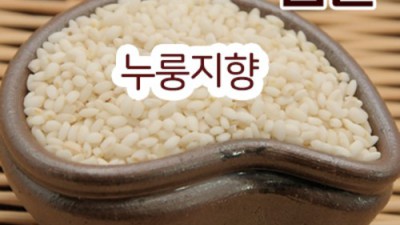 쫀득함에 반하다! 라오스찹쌀 후기 & 초특가 득템 찬스 ✨