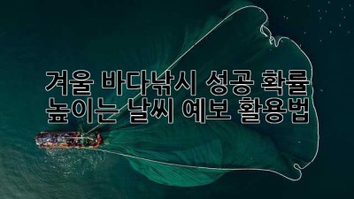 겨울 바다낚시, 성공 확률 높이는 날씨 예보 활용법!