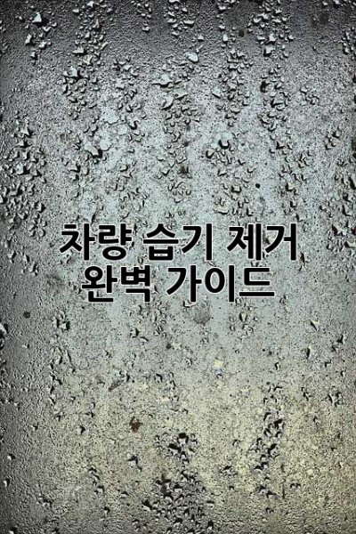 차량 습기 제거 완벽 가이드