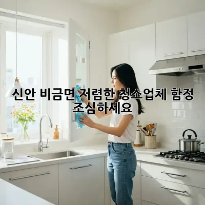신안 비금면 저렴한 청소업체, 함정 조심하세요!