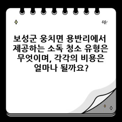 보성군 웅치면 용반리 소독 청소: 완벽 가이드 - 청소, 소독부터 업체 선택까지!