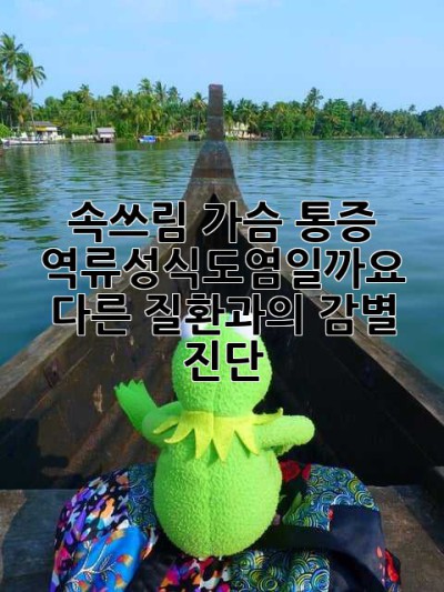 속쓰림, 가슴 통증? 역류성식도염일까요? 다른 질환과의 감별 진단!