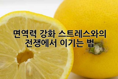 면역력 강화: 스트레스와의 전쟁에서 이기는 법