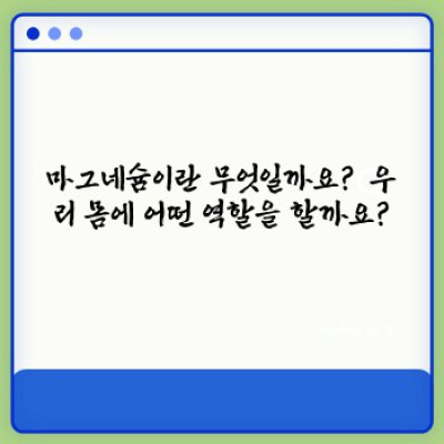마그네슘 완벽 가이드: 건강, 효능, 부족 증상, 섭취 방법까지 총정리