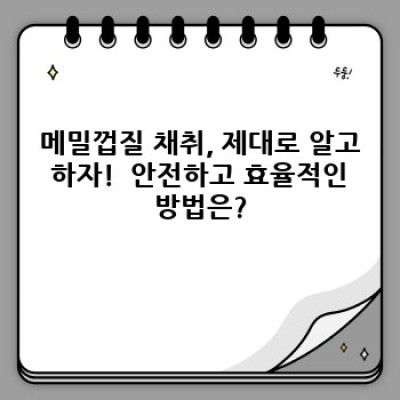 메밀껍질 채취 최적기: 시기, 방법, 그리고 효과적인 활용법 완벽 가이드