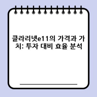 클라리넷e11 요약정보 우선 확인