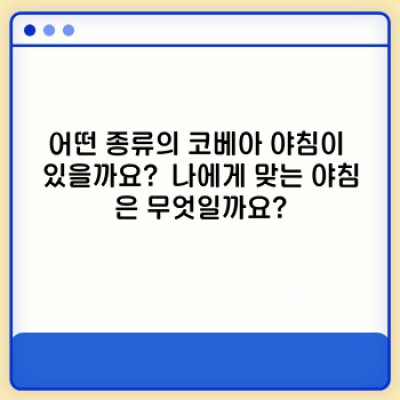 코베아야침 완벽 가이드: 종류, 선택 가이드, 사용법 및 관리법 총정리