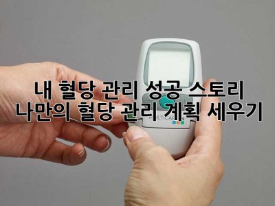 내 혈당 관리 성공 스토리: 나만의 혈당 관리 계획 세우기