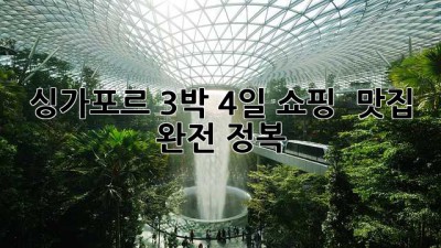 싱가포르 3박 4일 쇼핑 & 맛집 완전 정복!